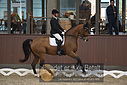 Filnavn=DSC_0798.JPG
Filstørrelse=316KiB
Dimensioner=1224x817
Dato for tilføjelse=%09 %371, %2018 DSC_0798.JPG