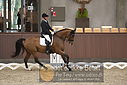 Filnavn=DSC_0799.JPG
Filstørrelse=315KiB
Dimensioner=1224x817
Dato for tilføjelse=%09 %371, %2018 DSC_0799.JPG