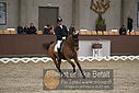 Filnavn=DSC_0801.JPG
Filstørrelse=368KiB
Dimensioner=1224x817
Dato for tilføjelse=%09 %371, %2018 DSC_0801.JPG