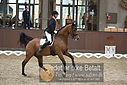 Filnavn=DSC_0804.JPG
Filstørrelse=371KiB
Dimensioner=1224x817
Dato for tilføjelse=%09 %371, %2018 DSC_0804.JPG