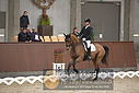 Filnavn=DSC_0806.JPG
Filstørrelse=305KiB
Dimensioner=1224x817
Dato for tilføjelse=%09 %371, %2018 DSC_0806.JPG