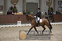 Filnavn=DSC_0811.JPG
Filstørrelse=386KiB
Dimensioner=1224x817
Dato for tilføjelse=%09 %371, %2018 DSC_0811.JPG
