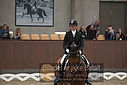 Filnavn=DSC_0829.JPG
Filstørrelse=246KiB
Dimensioner=1224x817
Dato for tilføjelse=%09 %371, %2018 DSC_0829.JPG