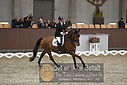 Filnavn=DSC_0835.JPG
Filstørrelse=373KiB
Dimensioner=1224x817
Dato for tilføjelse=%09 %371, %2018 DSC_0835.JPG