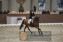 Filnavn=DSC_0836.JPG
Filstørrelse=389KiB
Dimensioner=1224x817
Dato for tilføjelse=%09 %371, %2018 DSC_0836.JPG