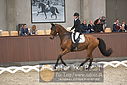 Filnavn=DSC_0841.JPG
Filstørrelse=338KiB
Dimensioner=1224x817
Dato for tilføjelse=%09 %371, %2018 DSC_0841.JPG