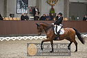 Filnavn=DSC_0844.JPG
Filstørrelse=322KiB
Dimensioner=1224x817
Dato for tilføjelse=%09 %371, %2018 DSC_0844.JPG