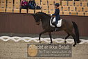Filnavn=DSC_1492.JPG
Filstørrelse=335KiB
Dimensioner=1224x817
Dato for tilføjelse=%11 %367, %2018 DSC_1492.JPG