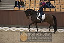 Filnavn=DSC_1493.JPG
Filstørrelse=373KiB
Dimensioner=1224x817
Dato for tilføjelse=%11 %367, %2018 DSC_1493.JPG