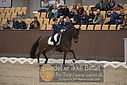 Filnavn=DSC_1495.JPG
Filstørrelse=376KiB
Dimensioner=1224x817
Dato for tilføjelse=%11 %367, %2018 DSC_1495.JPG