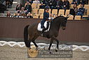 Filnavn=DSC_1502.JPG
Filstørrelse=377KiB
Dimensioner=1224x817
Dato for tilføjelse=%11 %367, %2018 DSC_1502.JPG