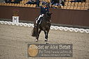 Filnavn=DSC_1507.JPG
Filstørrelse=338KiB
Dimensioner=1224x817
Dato for tilføjelse=%11 %367, %2018 DSC_1507.JPG