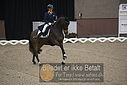 Filnavn=DSC_1510.JPG
Filstørrelse=333KiB
Dimensioner=1224x817
Dato for tilføjelse=%11 %367, %2018 DSC_1510.JPG