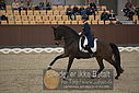 Filnavn=DSC_1521.JPG
Filstørrelse=331KiB
Dimensioner=1224x817
Dato for tilføjelse=%11 %367, %2018 DSC_1521.JPG