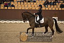 Filnavn=DSC_1533.JPG
Filstørrelse=387KiB
Dimensioner=1224x817
Dato for tilføjelse=%11 %367, %2018 DSC_1533.JPG