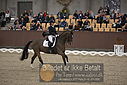 Filnavn=DSC_1554.JPG
Filstørrelse=407KiB
Dimensioner=1224x817
Dato for tilføjelse=%11 %367, %2018 DSC_1554.JPG