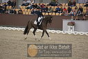 Filnavn=DSC_1568.JPG
Filstørrelse=420KiB
Dimensioner=1224x817
Dato for tilføjelse=%11 %367, %2018 DSC_1568.JPG