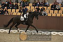 Filnavn=DSC_1573.JPG
Filstørrelse=363KiB
Dimensioner=1224x817
Dato for tilføjelse=%11 %367, %2018 DSC_1573.JPG