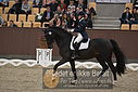 Filnavn=DSC_1640.JPG
Filstørrelse=321KiB
Dimensioner=1224x817
Dato for tilføjelse=%11 %368, %2018 DSC_1640.JPG