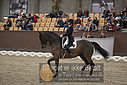 Filnavn=DSC_1726.JPG
Filstørrelse=368KiB
Dimensioner=1224x817
Dato for tilføjelse=%11 %369, %2018 DSC_1726.JPG