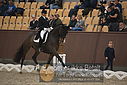 Filnavn=DSC_1731.JPG
Filstørrelse=340KiB
Dimensioner=1224x817
Dato for tilføjelse=%11 %369, %2018 DSC_1731.JPG