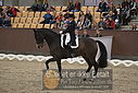 Filnavn=DSC_1750.JPG
Filstørrelse=404KiB
Dimensioner=1224x817
Dato for tilføjelse=%11 %369, %2018 DSC_1750.JPG