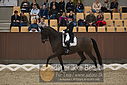 Filnavn=DSC_1807.JPG
Filstørrelse=367KiB
Dimensioner=1224x817
Dato for tilføjelse=%11 %369, %2018 DSC_1807.JPG