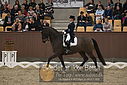 Filnavn=DSC_1808.JPG
Filstørrelse=334KiB
Dimensioner=1224x817
Dato for tilføjelse=%11 %369, %2018 DSC_1808.JPG