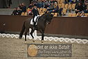 Filnavn=DSC_1865.JPG
Filstørrelse=359KiB
Dimensioner=1224x817
Dato for tilføjelse=%11 %369, %2018 DSC_1865.JPG