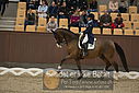Filnavn=DSC_1945.JPG
Filstørrelse=340KiB
Dimensioner=1224x817
Dato for tilføjelse=%11 %369, %2018 DSC_1945.JPG