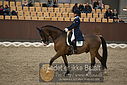 Filnavn=DSC_1953.JPG
Filstørrelse=382KiB
Dimensioner=1224x817
Dato for tilføjelse=%11 %369, %2018 DSC_1953.JPG