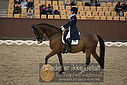 Filnavn=DSC_1954.JPG
Filstørrelse=389KiB
Dimensioner=1224x817
Dato for tilføjelse=%11 %369, %2018 DSC_1954.JPG