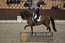 Filnavn=DSC_1977.JPG
Filstørrelse=345KiB
Dimensioner=1224x817
Dato for tilføjelse=%11 %369, %2018 DSC_1977.JPG