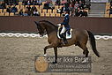 Filnavn=DSC_1981.JPG
Filstørrelse=376KiB
Dimensioner=1224x817
Dato for tilføjelse=%11 %369, %2018 DSC_1981.JPG