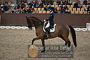 Filnavn=DSC_1982.JPG
Filstørrelse=394KiB
Dimensioner=1224x817
Dato for tilføjelse=%11 %369, %2018 DSC_1982.JPG