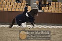 Filnavn=DSC_2033.JPG
Filstørrelse=343KiB
Dimensioner=1224x817
Dato for tilføjelse=%11 %370, %2018 DSC_2033.JPG