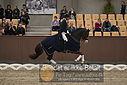 Filnavn=DSC_2035.JPG
Filstørrelse=313KiB
Dimensioner=1224x817
Dato for tilføjelse=%11 %370, %2018 DSC_2035.JPG