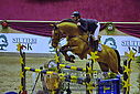 DSC_2995.JPG