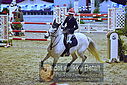 Filnavn=DSC_3074.JPG
Filstørrelse=607KiB
Dimensioner=1224x817
Dato for tilføjelse=%06 %963, %2018 DSC_3074.JPG