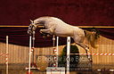 Filnavn=DSC_3907.jpg
Filstørrelse=292KiB
Dimensioner=1241x806
Dato for tilføjelse=%12 %753, %2018 DSC_3907.jpg
