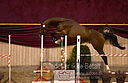 Filnavn=DSC_3926.jpg
Filstørrelse=346KiB
Dimensioner=1241x806
Dato for tilføjelse=%12 %753, %2018 DSC_3926.jpg