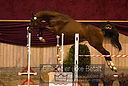 Filnavn=DSC_3929.jpg
Filstørrelse=363KiB
Dimensioner=1218x821
Dato for tilføjelse=%12 %753, %2018 DSC_3929.jpg