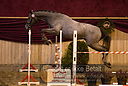 Filnavn=DSC_3936.jpg
Filstørrelse=344KiB
Dimensioner=1218x821
Dato for tilføjelse=%12 %753, %2018 DSC_3936.jpg
