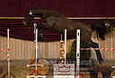 Filnavn=DSC_3948.jpg
Filstørrelse=334KiB
Dimensioner=1211x826
Dato for tilføjelse=%12 %753, %2018 DSC_3948.jpg