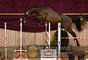 Filnavn=DSC_3988.jpg
Filstørrelse=367KiB
Dimensioner=1211x826
Dato for tilføjelse=%12 %753, %2018 DSC_3988.jpg