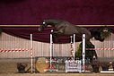 Filnavn=DSC_4013.jpg
Filstørrelse=375KiB
Dimensioner=1224x817
Dato for tilføjelse=%12 %753, %2018 DSC_4013.jpg