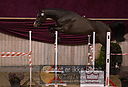 Filnavn=DSC_4015.jpg
Filstørrelse=337KiB
Dimensioner=1211x826
Dato for tilføjelse=%12 %753, %2018 DSC_4015.jpg