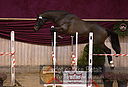 Filnavn=DSC_4018.jpg
Filstørrelse=361KiB
Dimensioner=1211x826
Dato for tilføjelse=%12 %753, %2018 DSC_4018.jpg