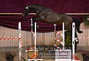 Filnavn=DSC_4022.jpg
Filstørrelse=384KiB
Dimensioner=1211x826
Dato for tilføjelse=%12 %753, %2018 DSC_4022.jpg
