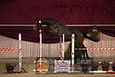Filnavn=DSC_4031.jpg
Filstørrelse=320KiB
Dimensioner=1224x817
Dato for tilføjelse=%12 %753, %2018 DSC_4031.jpg